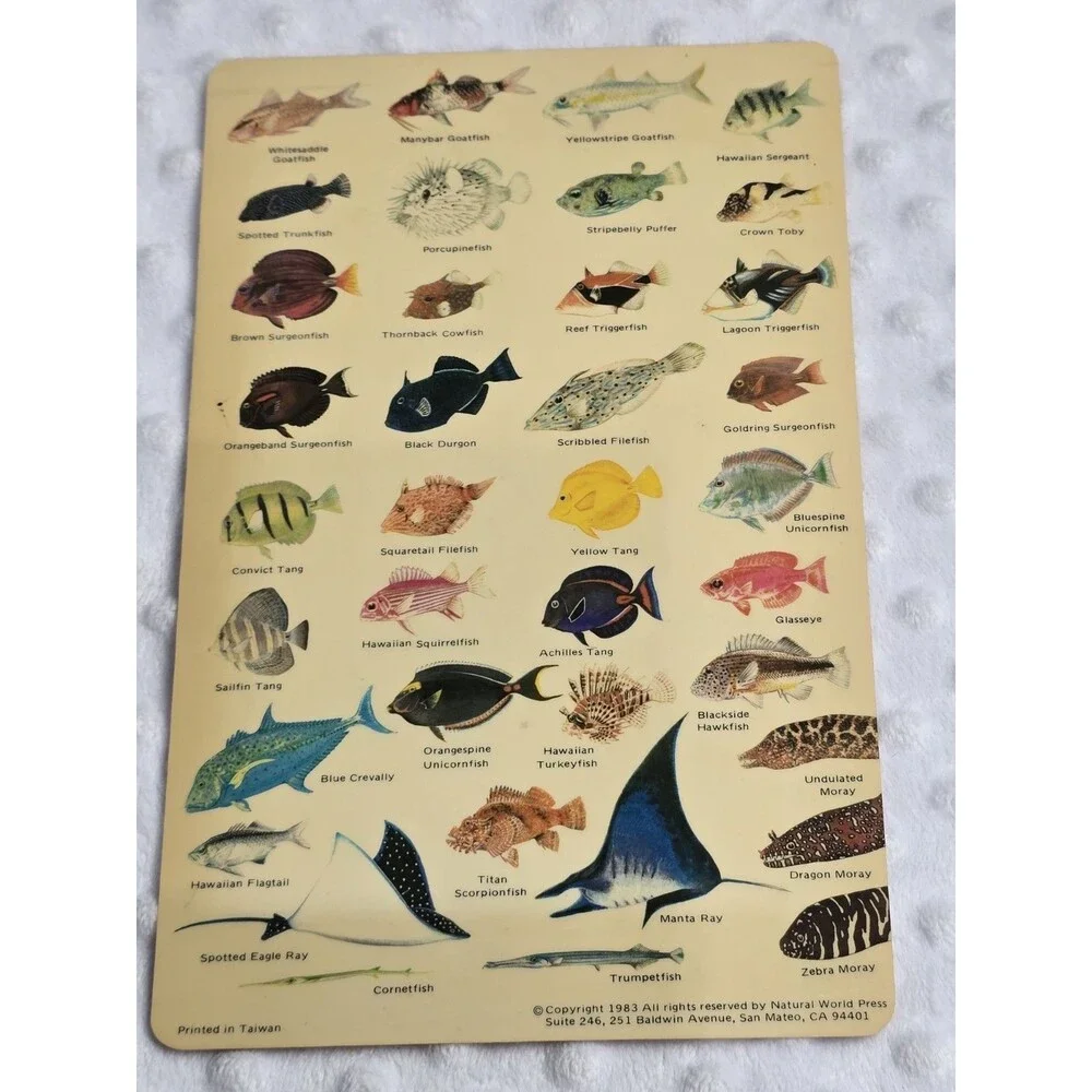 Vtg 1983 Guide to Hawaiian Reef Fish Plastic Card Natural World Press Ephemera